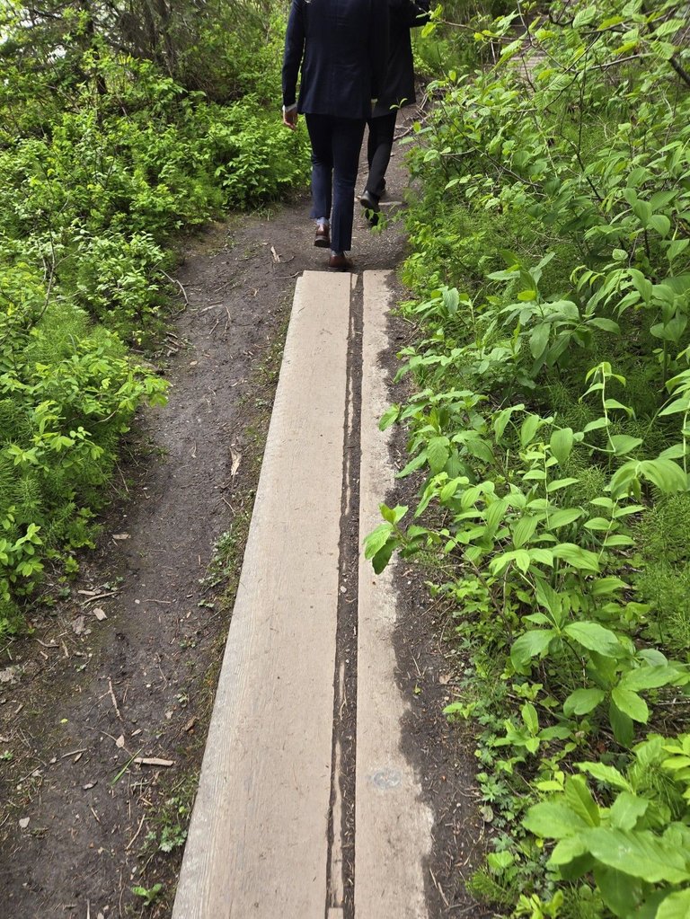 20240622_141938.jpg