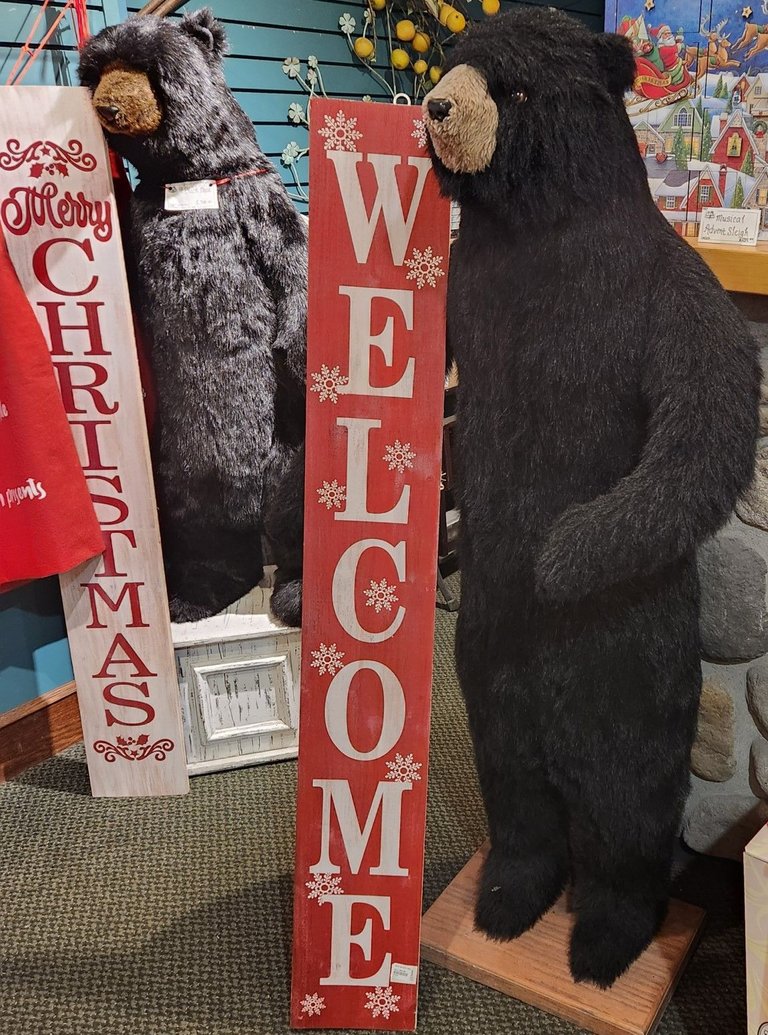 20231224_151509.jpg