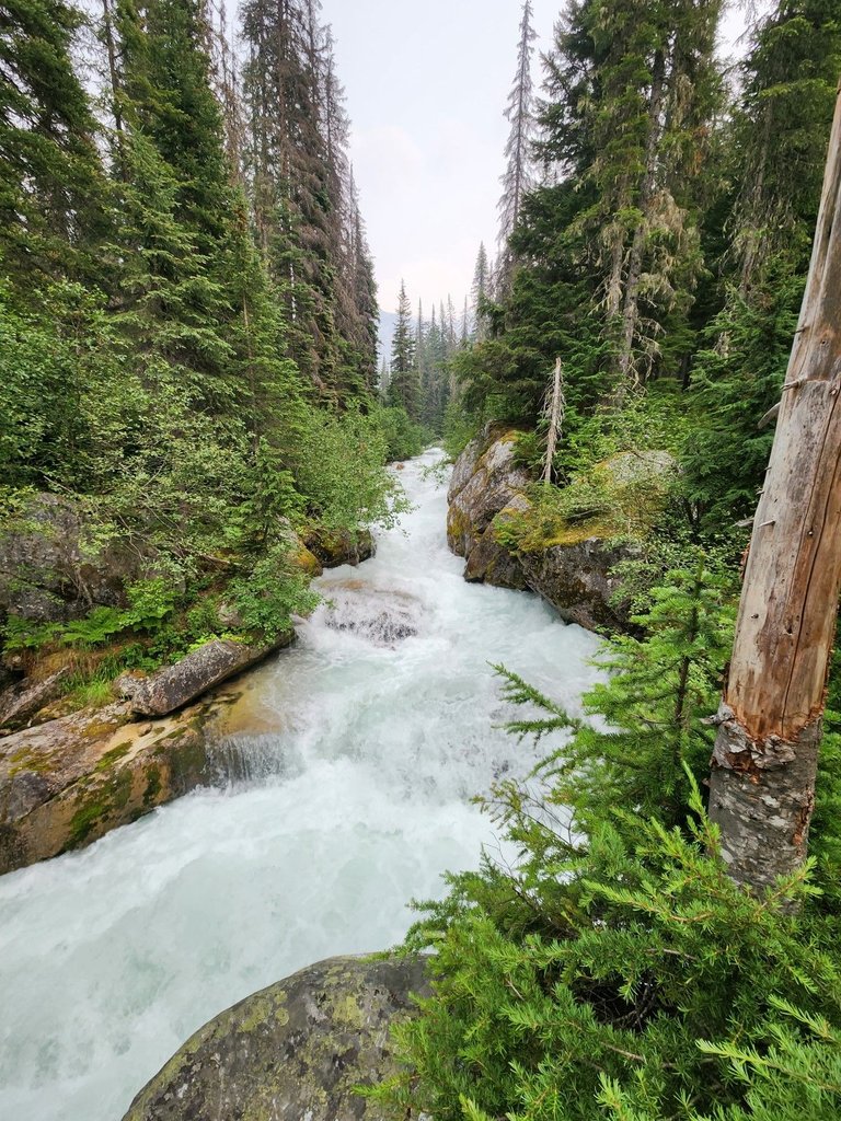 20230714_155021.jpg
