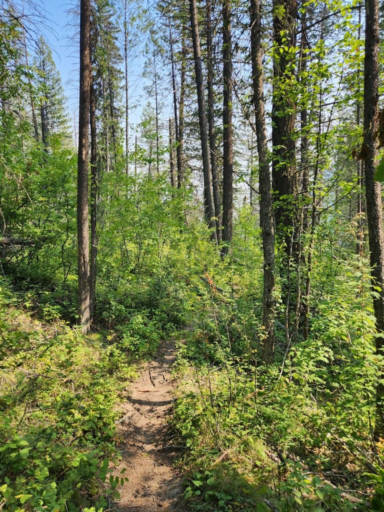 20230819_154340.jpg