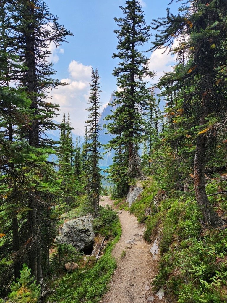 20230805_154633.jpg