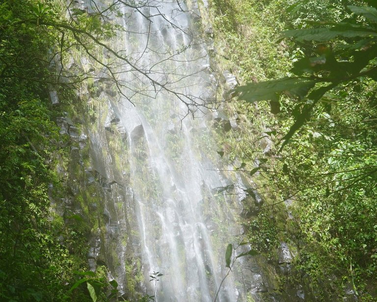 DSC00195.JPG