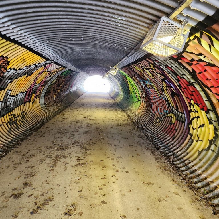 20240428_143625.jpg
