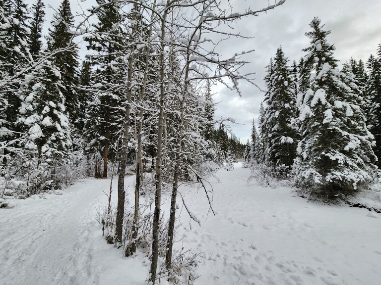 20231210_142730.jpg