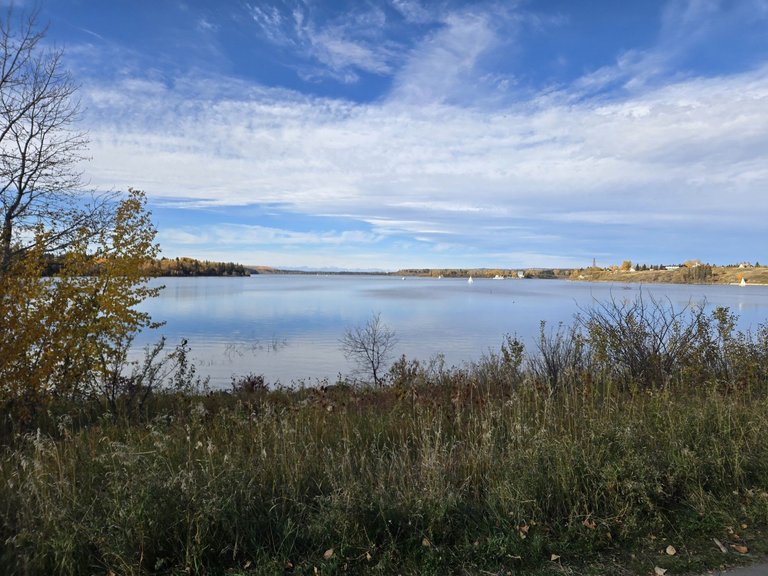 20241014_133540.jpg