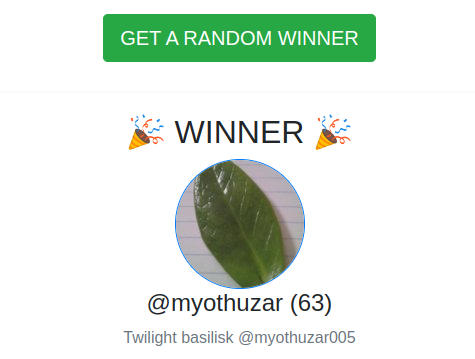 winner.png