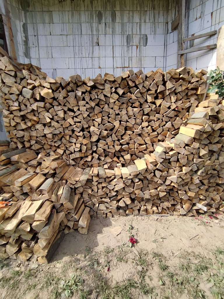 IMG_20250728_164332.jpg