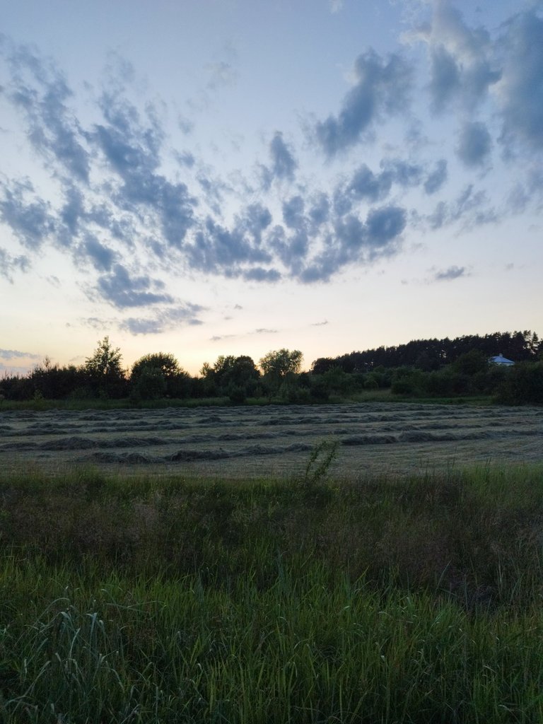 IMG_20250622_213907.jpg