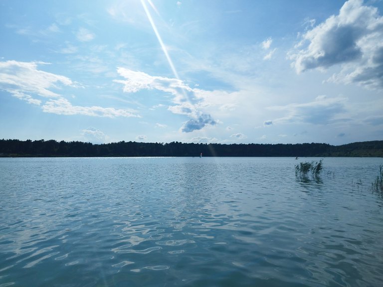 IMG_20250713_173925.jpg