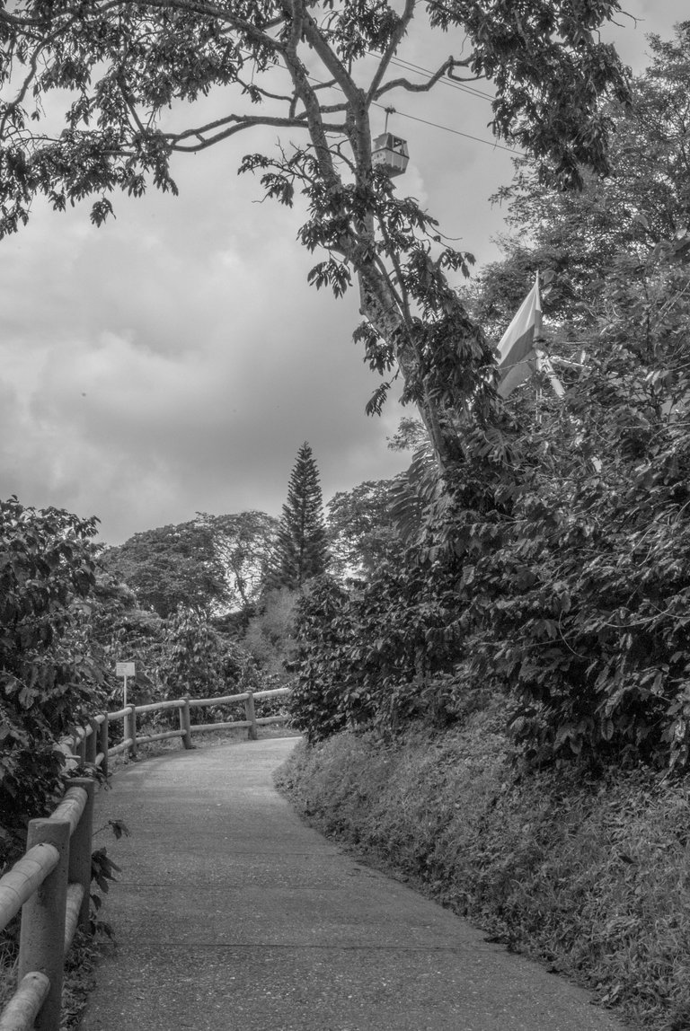 Paisaje_1.jpg
