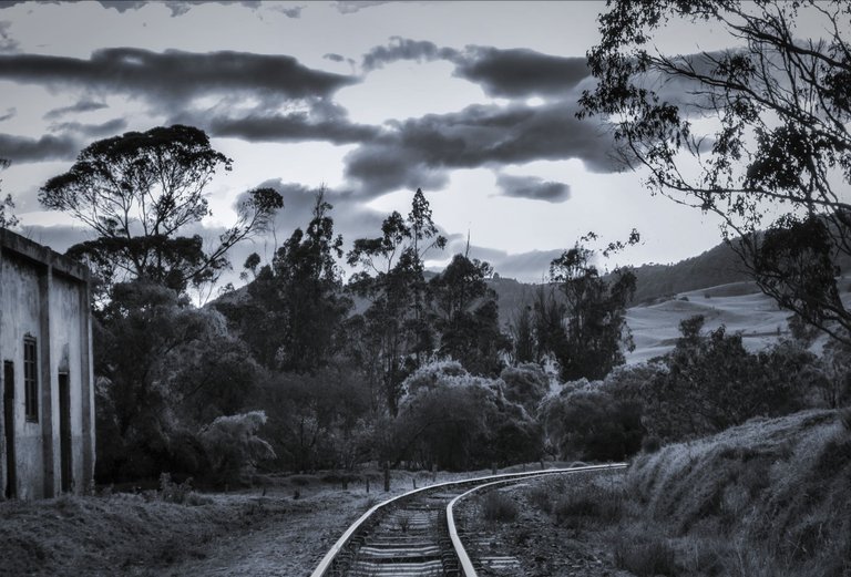 Landscape_169.jpg
