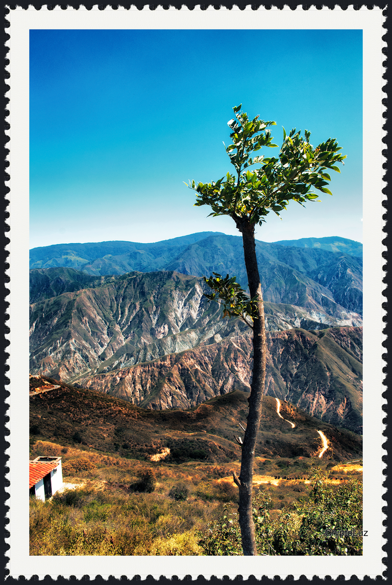 Landscape_69.png