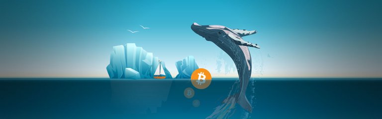 bravenewcoin-bitcoin-whale-activity-banner.jpg