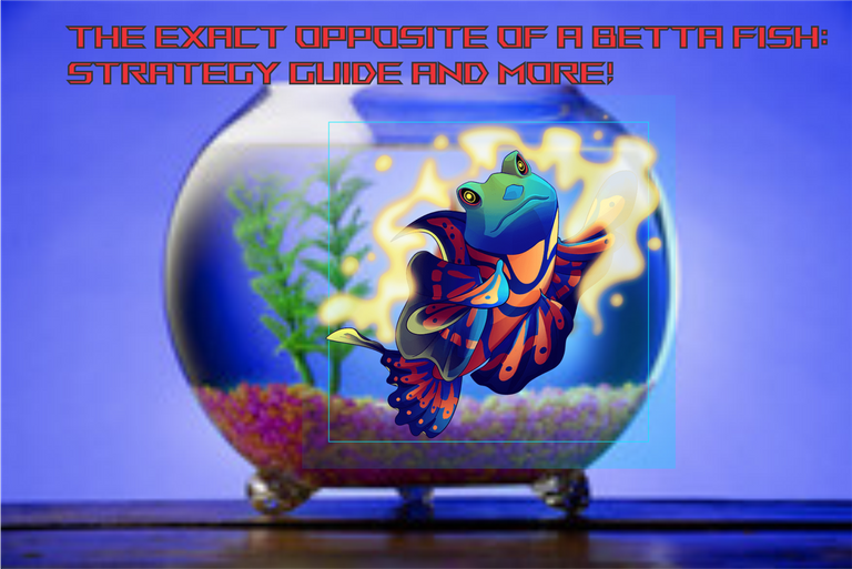 betta banner.png