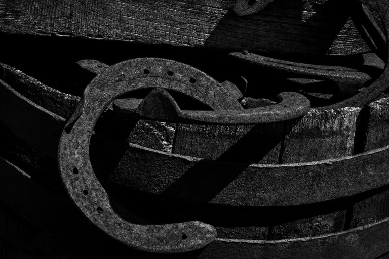 10-Rural Incursion_©Paulo Abrantes.jpg