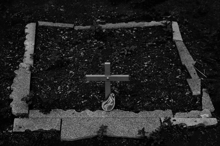 5-Rural Incursion_©Paulo Abrantes.jpg