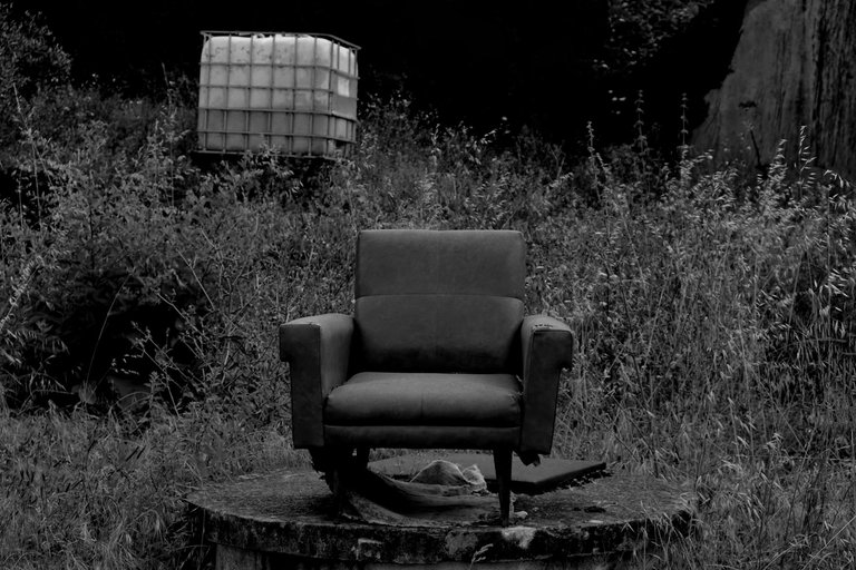 4-Rural Incursion_©Paulo Abrantes.jpg