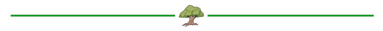arvore.png