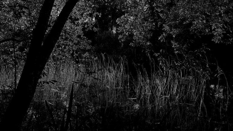 6-Choupal_abril_full (5 of 16).jpeg