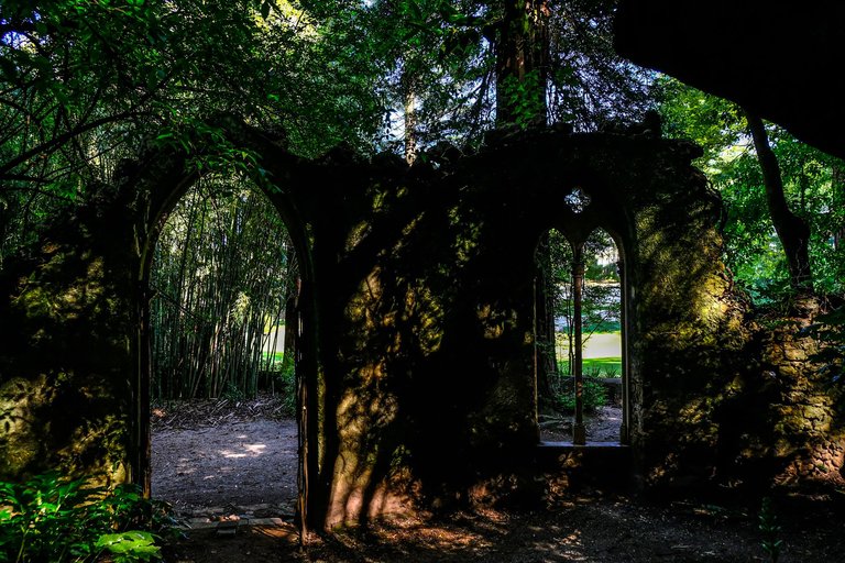 7-The Lovers Banyan Tree_Paulo Abrantes-8.jpg