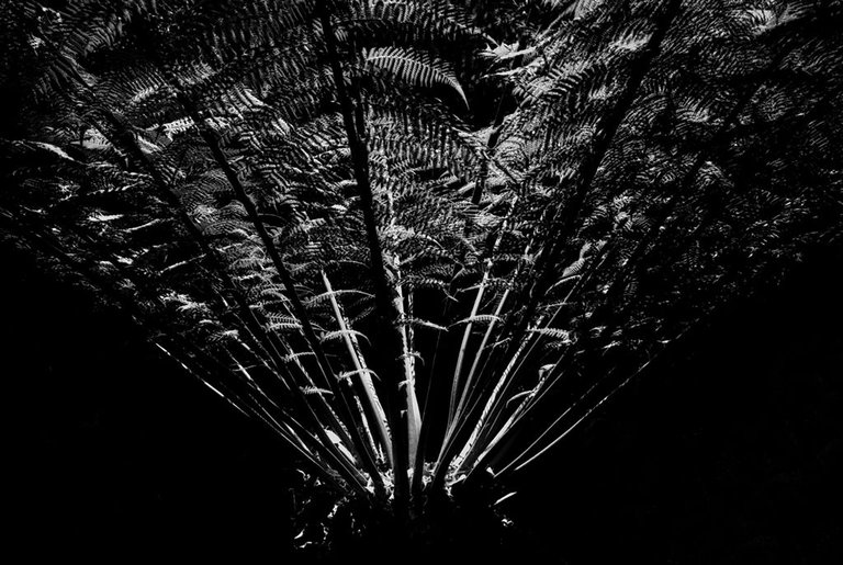 7-8©Paulo Abrantes.jpg