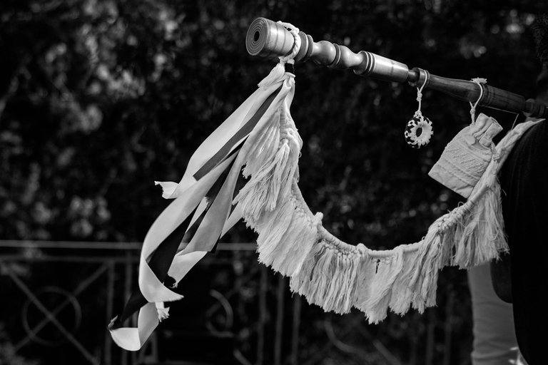 14-Bagpipes©Paulo Abrantes-6.jpg