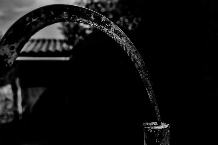 11-Rural Incursion_©Paulo Abrantes.jpg