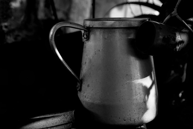 8-Rural Incursion_©Paulo Abrantes.jpg