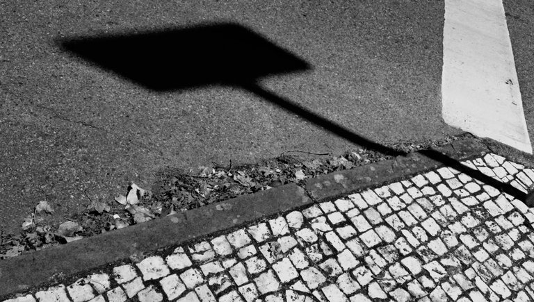 6-Sombras-Paulo Abrantes-10_edit_edit.jpg