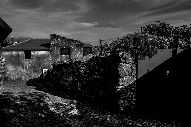 1-Rural Incursion_©Paulo Abrantes-.jpg