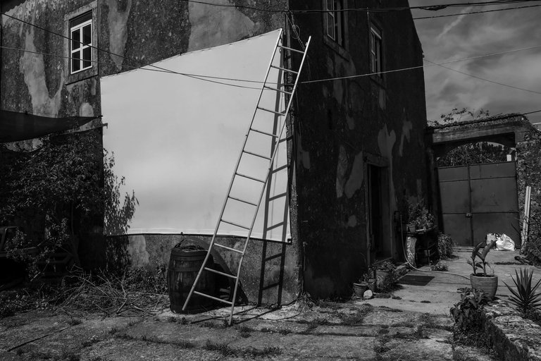 3-Rural Incursion_©Paulo Abrantes.jpg
