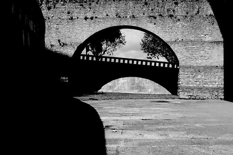 B&W_Paulo Abrantes-Edit copy.jpg