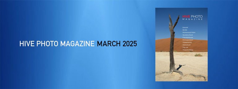 REPORT_MARCH.jpg
