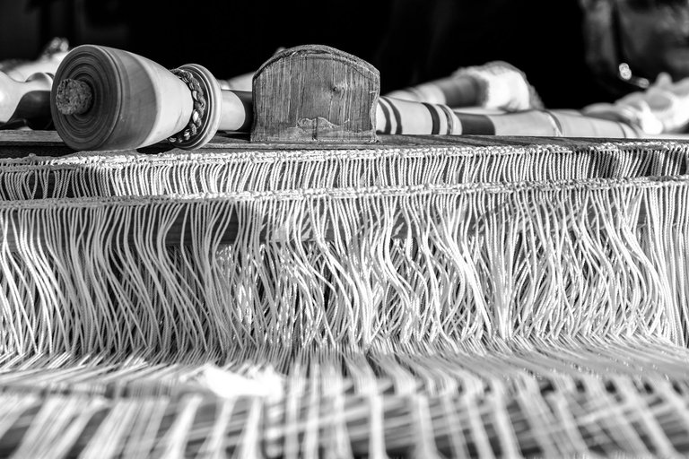 6-Bagpipes©Paulo Abrantes-19.jpg