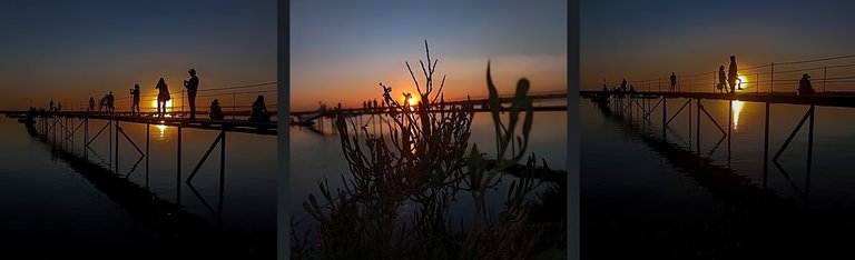 4-Sunset Faro 2024_Paulo Abrantes.jpg