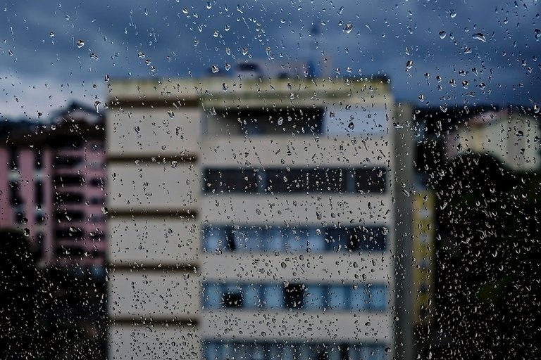 5-Raindrops_HIVE_Paulo Abrantes-7.jpg