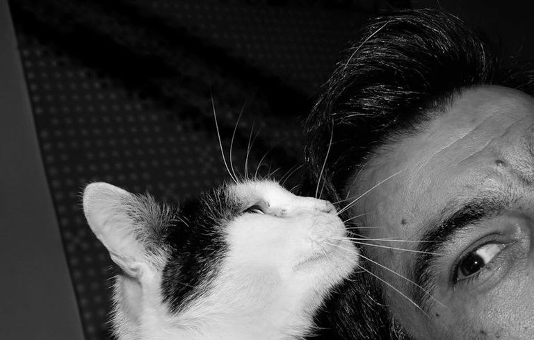 2-LoveCats©Paulo Abrantes-4.jpg