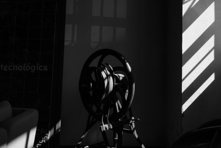 28 Maio 2025_b_©Paulo Abrantes.jpg