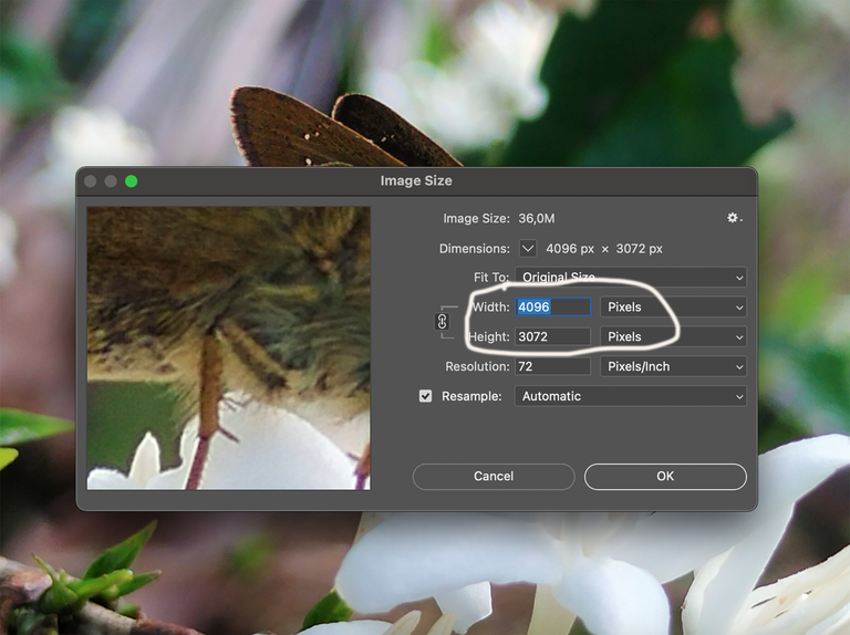 Screenshot 2025-06-14 at 01.45.57.png