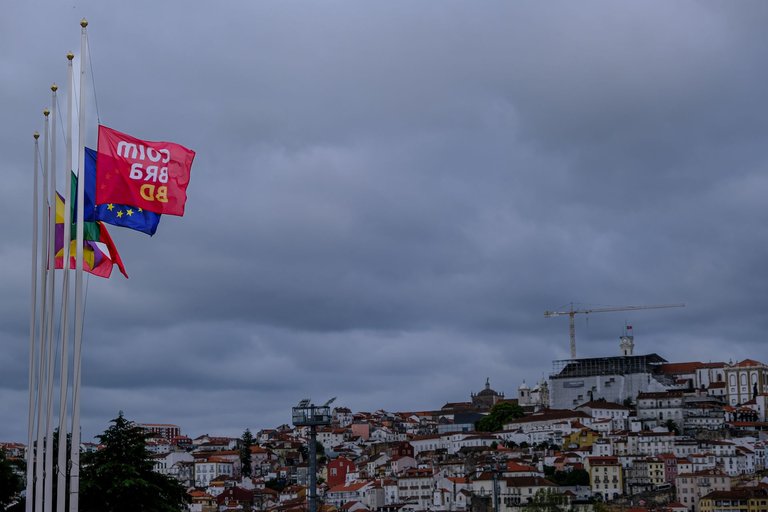 1-BD Coimbra_Paulo Abrantes.jpg
