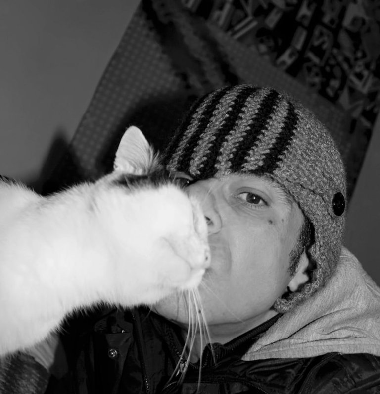 14-LoveCats©Paulo Abrantes-27.jpg