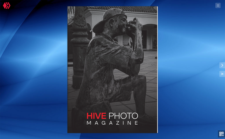 HIVE PHOTO MAG.png