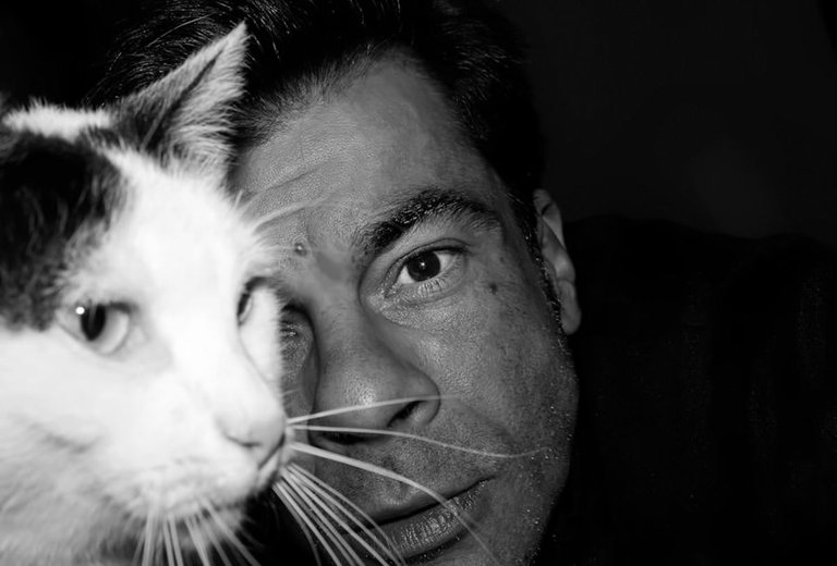 3-LoveCats©Paulo Abrantes-25.jpg