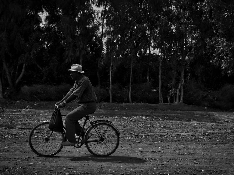 4-On two wheels_Paulo Abrantes.jpg