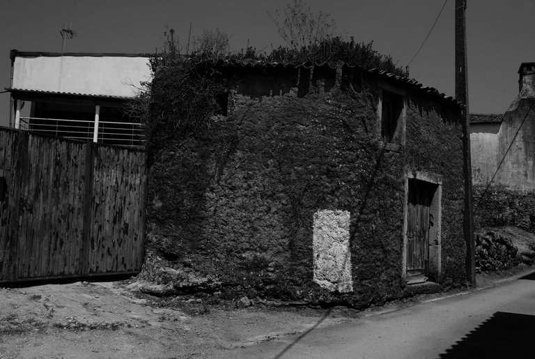 2-Rural Incursion_©Paulo Abrantes.jpg