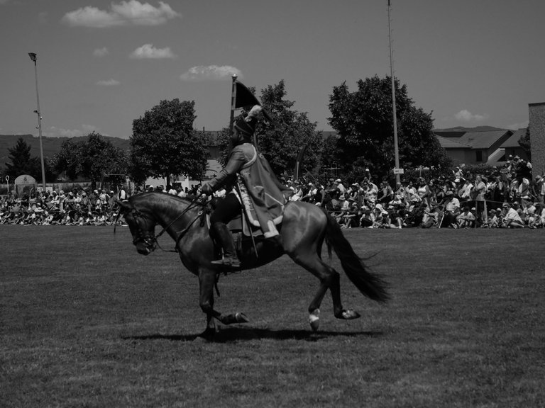cavaliernb (3).JPG