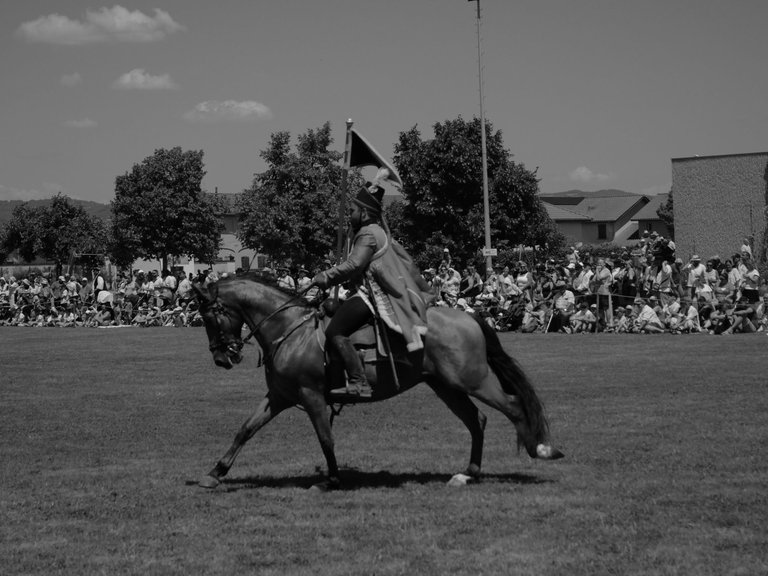 cavaliernb (2).JPG