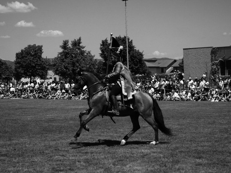 cavaliernb (1).JPG