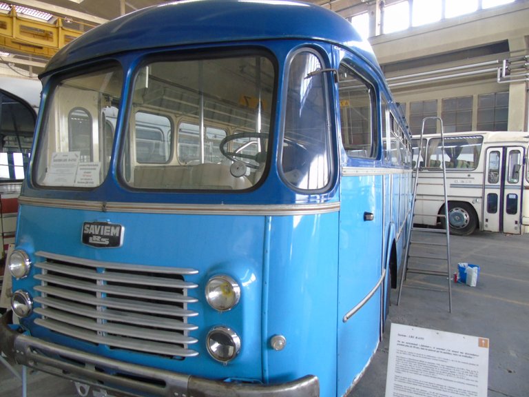 1111histobus2 (6).JPG