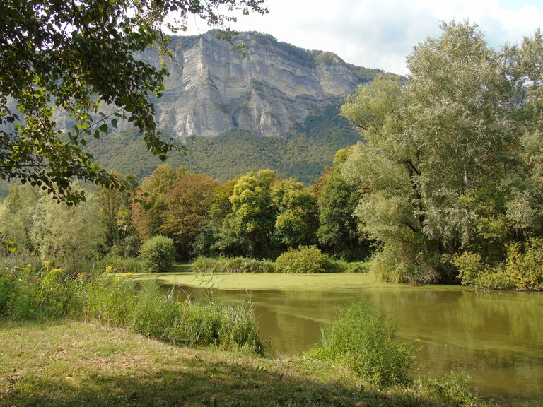 1marais montfort (6).JPG